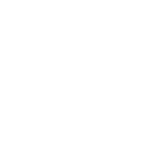 LGT Capitals